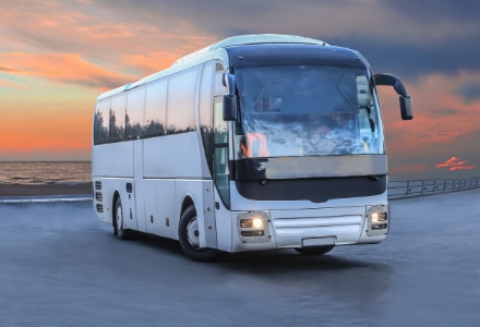 36-seatbus