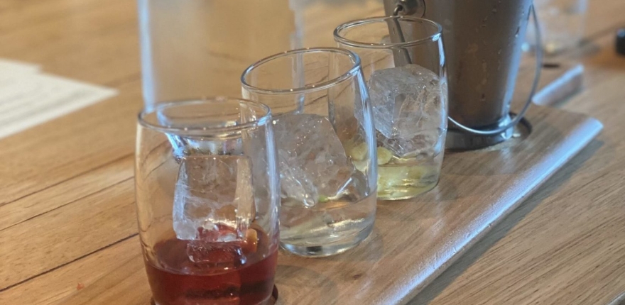 gin-paddles