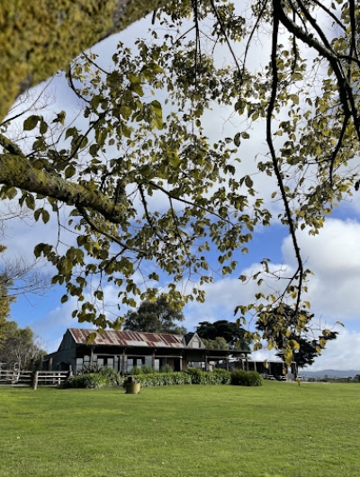 hens-winery-tours-big