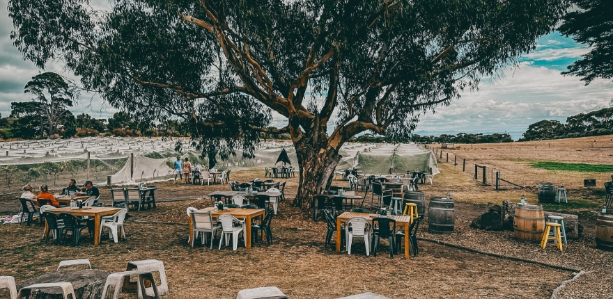 wine-tasting-bennetts
