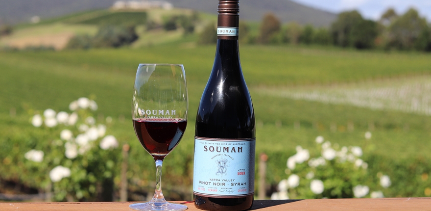 wine-tasting-soumah-wines