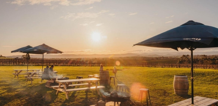 wine-tasting-tokar