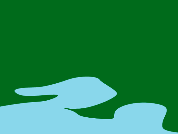 map-bg-shape