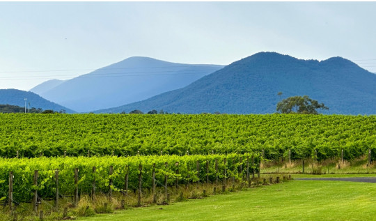planning-a-melbourne-trip-heres-why-a-yarra-valley-wine-tour-just-makes-sense
