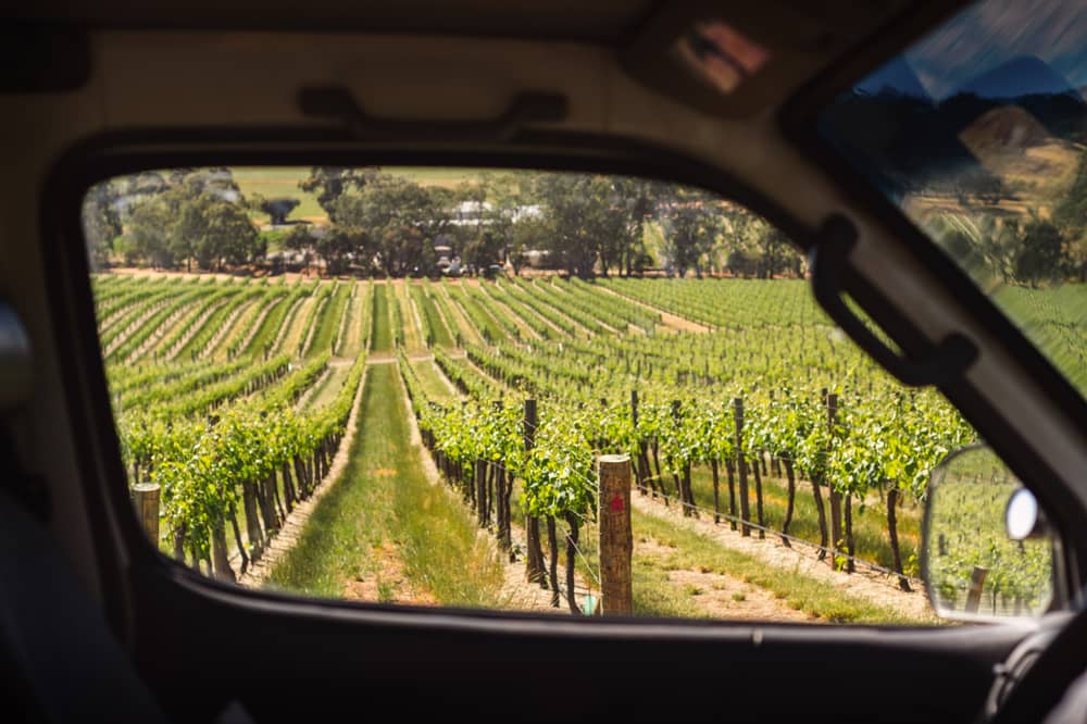 Tours of the Yarra Valley are Good Fun