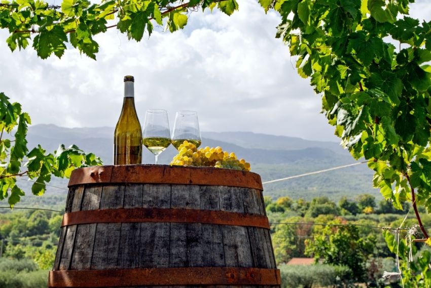 Bus tour yarra valley