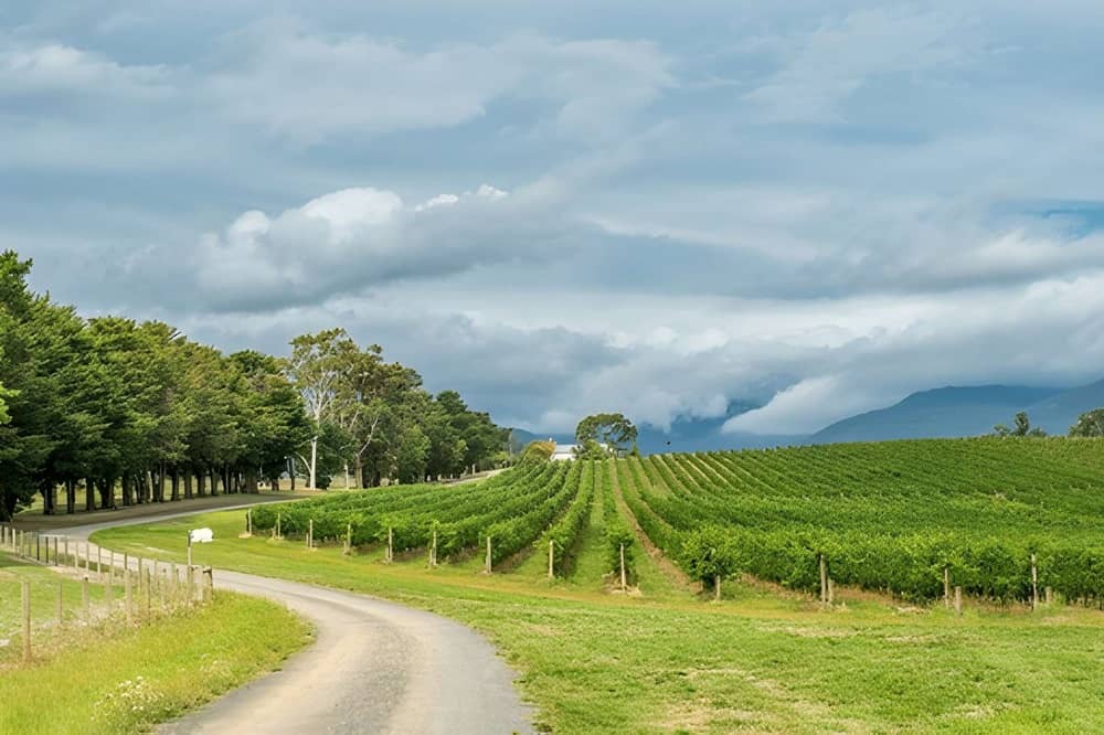 What is Yarra Valley Like