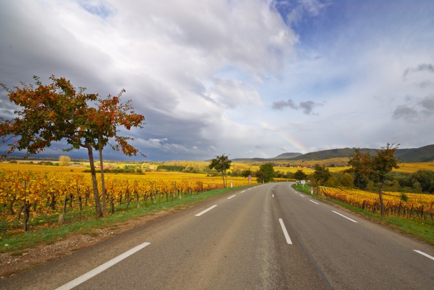 Yarra Valley tour