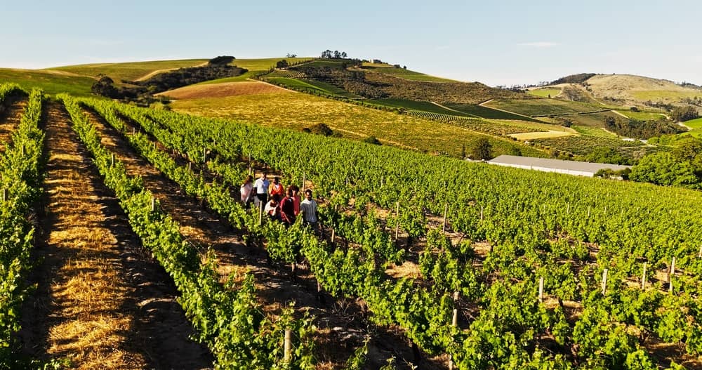 Guided Tours of the Yarra Valley